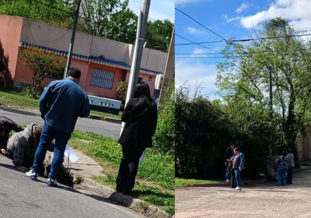 La Comisión de Higiene y Medio Ambiente recorrió las zonas este y oeste de la ciudad para evaluar mociones de vecino